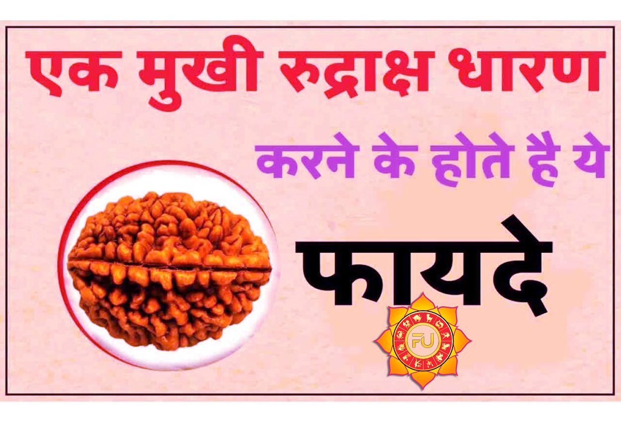 Ek Mukhi Rudraksha Ke Fayde जानें एक मुखी रूद्राक्ष धारण करने के लाभ और इसका महत्त्व