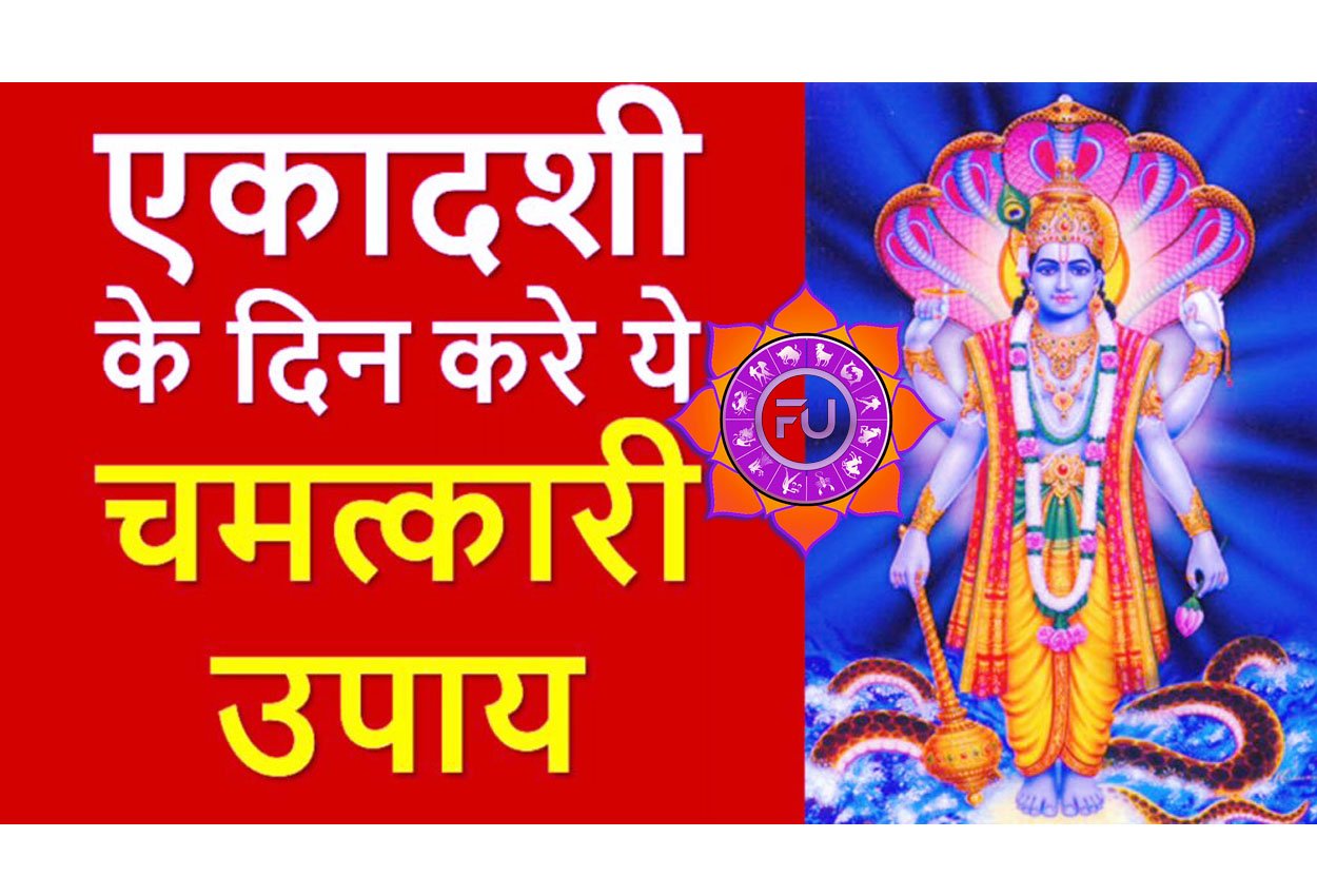 Ekadashi Ke Free Upay जया एकादशी के दिन बस कर लीजिए ये उपाय, आपके जीवन में होगी सुख-सौभाग्य में वृद्धि